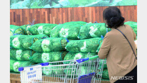 정부 “배추 공급 일시 부족…11월부터 수급 안정 전망”