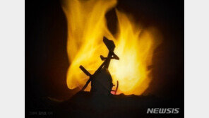 소방차 20대 당산동 화재 출동…알고보니 ‘불멍’ TV화면