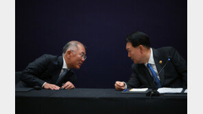 사우디 가는 정의선…현대차·기아 “2030년 중동 55만대 판매”