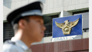 만취 상태로 난동 부린 불법 체류 외국인…검찰 송치