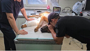 “사랑과 신뢰 주던 동료”…경찰견 럭키 죽음에 특공대원 눈물