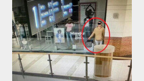 가방 든 마네킹인 척 버티다…쇼핑몰 문닫자 보석 훔친 폴란드男