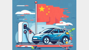 중국 전기차 회사가 줄줄이 망해가고 있는 이유[딥다이브]