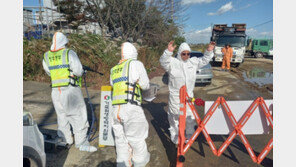 “한우가격 하락에 덮친격”…소 럼피스킨병 확산에 농가들 한숨