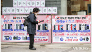 “단통법 위반 유통점만 제재…통신 3사 제외”