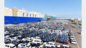 ‘세계최대’ 현대차 울산공장, 2년뒤엔 연20만대 전기차 생산 