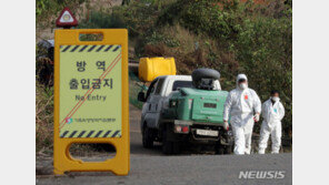 소 ‘럼피스킨병’ 확산…방역 특교 100억5000만원 지원