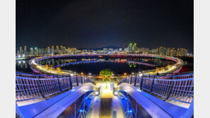 세종시 이응다리, 지역문화매력 100선 선정