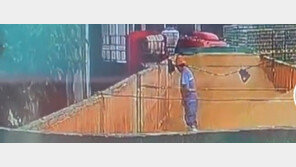 칭다오 맥주 원료에 ‘소변’… 中식품 위생 논란 또 확산 