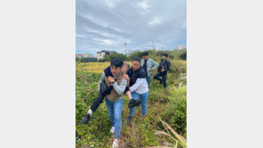 CCTV 100개 뒤져 40시간 만에 수풀에 쓰러진 치매노인 찾아