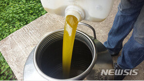 기후변화로 ‘올리브유’ 생산량 반토막…전년 대비 가격 2배↑