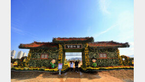 해안가 10만 송이 국화… 창원서 국내 최대 ‘국화축제’ 열려 