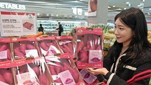 달콤하고 부드러운 국산 고구마 ‘소담미 고구마’ 올 겨울 간식으로 제격 