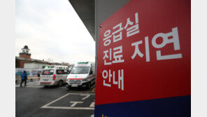 국회 ‘응급의료 전담 컨트롤타워’ 설치 추진…복지부·의료계 ‘환영’