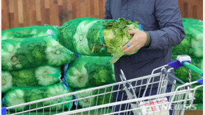 내달부터 못난이 사과 공급 추진…김장채소 납품비용 지원