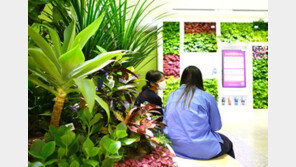 “푸릇푸릇∼ 상쾌한 숲속에서 책 읽는 듯”