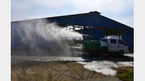 럼피스킨 확산세 여전…충남 2개 한우농가 추가 확진