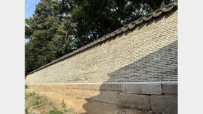 풍수해에 무너진 창덕궁 인정전 담장 복구…25일부터 공개