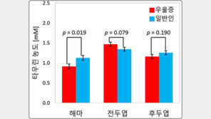 KBSI “우울증 여성은 해마 타우린 농도 20% 낮아”