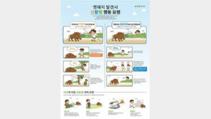 부산 아파트서 멧돼지 출몰…새끼 3마리 사살 