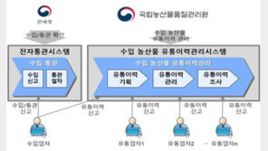 내년부터 수입 대파·냉동 양파 등 유통·거래정보 신고해야