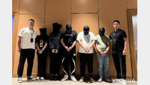 中, 올해 온라인사기 주범 387명 검거…“단호히 억제할 것”