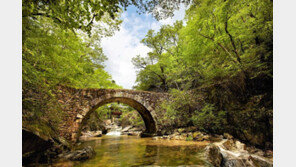 “순천 선암사는 태고종 소유”…조계종, 또 재판 졌다