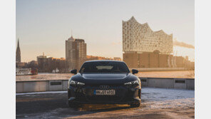 역동적이면서 우아하게… 주행 성능-디자인 다 잡았다