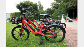 “힘 안들고 잘 나가네”…전기자전거, ‘어르신의 발’ 됐다