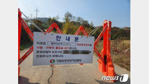 한우주산지 횡성서도 ‘럼피스킨병’ 발생…방역당국·농가 ‘긴장’