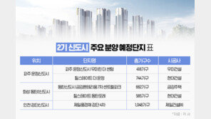 올해 분양단지 완판 이어간 2기 신도시, 후속 분양도 예고