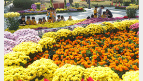 대체로 맑고 한낮 20도 안팎…일교차 10~15도