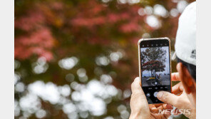 내일 최대 15도 일교차 주의…내륙에 짙은 안개