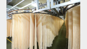 “면 만드는 건 우리가 최고지요”… 면사랑, 진천공장 가보니