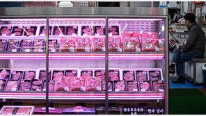 럼피스킨병, 경기 포천서도 첫 발병…누적 52건