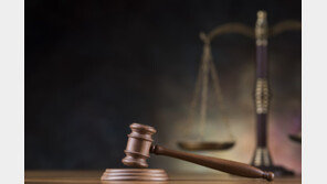 “우리 동네 욕하지마” 처음 본 사람 15분 폭행한 40대…징역 5년 선고 