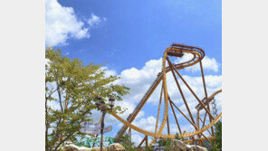 경주 롤러코스터 55m 높이서 멈춤사고…20분 만에 재가동