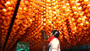 주렁주렁 ‘달콤한 약속’