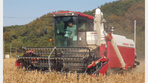 이제는 양파-감자밭으로