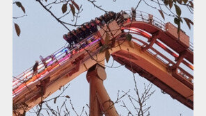 경주 롤러코스터 55m 상공서 멈춰…22명 ‘공포의 20분’