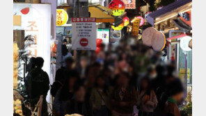 핼러윈 군복 차림 모형 총 들고 활보한 20대 즉결심판