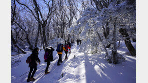 겨울철 한라산 산행 오전 6시부터 가능…동절기 탐방시간 조정