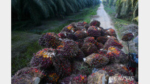 인니 항공사, 팜유 혼합 항공유 활용 첫 상업 비행 성공