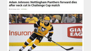 英 아이스하키 스타, 경기 도중 스케이트 날에 목 찔려 사망