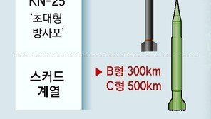 “北, 한국 겨냥한 핵무기 최소 180기… 2030년 300기 보유”