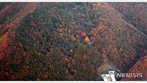[날씨]낮 19~25도…수도권·충청·울산 오전에 미세먼지 ‘나쁨’