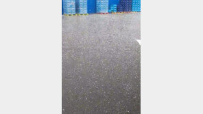 강원 우박에 농작물 103㏊ ‘쑥대밭’…김장철 앞두고 배추 피해 심각