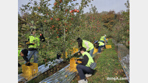 농협중앙회 농업농촌지원본부, 수확기 일손돕기 구슬땀