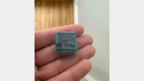 핼러윈에 ‘대마 사탕’ 받은 美 아이들…경찰 “수사 중”