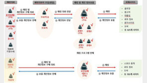 웹사이트 자동 해킹, 개인정보 850만건 빼돌린 범죄조직 소탕